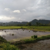 Отель Satun Premium Resort, фото 11