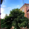 Отель Stone House, фото 11