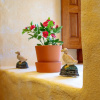 Отель Casa Catalina II, фото 7