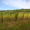 Отель Appartements Les clés des Vignes, фото 3