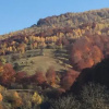 Отель Sadyba Valercha, фото 10