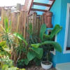Отель Casa Azul, фото 9