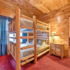 Отель Apple Bear Lodge - Four Bedroom Cabin, фото 13