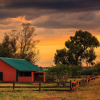 Отель Thaba Manzi Ranch, фото 10