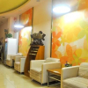 Отель Grace Inn, фото 14