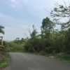 Отель Hacienda El Saman, фото 7
