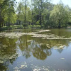 Отель Pałac Nieznanice, фото 14
