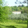 Отель Villa Benvenuti, фото 10