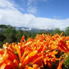 Отель Pachamama, фото 2