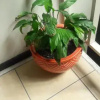 Отель Hostal Catalina, фото 3