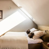 Отель Tatrytop Apartamenty Radowid, фото 2