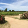Отель Agriturismo Campesi, фото 2