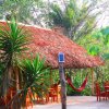 Отель Chaya Maya Jungle Lodge, фото 4