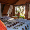 Отель Musango Safari Camp - All-Inclusive, фото 5