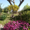 Отель Agriturismo Su Recreu, фото 9