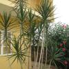 Отель Pousada As Relíquias de Minas, фото 5