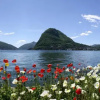 Отель Prestige du Lac 34, фото 14