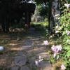 Отель Villa Rosina, фото 6