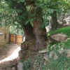 Отель Agriturismo Ai Ronchi, фото 7