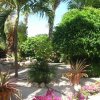 Отель Seru Coral Resort в Синт-Виллибрордусе