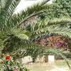 Отель Affittacamere Albaruia, фото 6