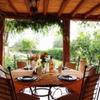 Отель Dar Zitoune - Guest House, фото 11