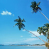 Отель Samui Paradise Village, фото 18