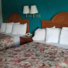 Отель Palmetto Inn, фото 3