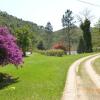 Отель Pousada Fazenda Santo Antonio Pesqueiro., фото 4