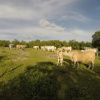 Отель Agriturismo Poggio Della Capanna, фото 5