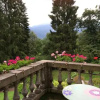 Отель Villa Sofia, фото 7