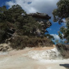 Отель Pousada Mirante das Pedras, фото 16