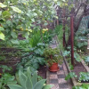 Отель Il giardino di Tatiana, фото 4