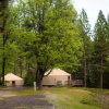 Отель Yosemite Lakes Hillside Yurt 1, фото 6