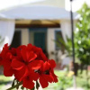 Отель Blue B&B, фото 8