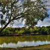 Отель Brazos River Cabin - Studio Cabin, фото 10