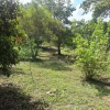 Отель Xultun Farm Noble, фото 9