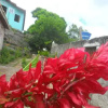 Отель Pousada Recanto Verde, фото 7