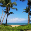 Отель Beachfront Villa in the Rio Mar Resort, фото 5