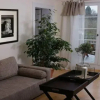 Отель Baden- Baden Exclusive, фото 5