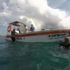 Отель Tayrona Dive Center, фото 11