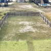 Отель Turtle Nest West - 3 Br Duplex, фото 3