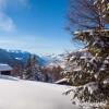 Отель Chalet Panorama, фото 3