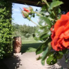 Отель LAmaca, фото 2