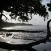 Отель New Caribe Point, фото 11