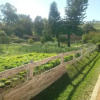 Отель Pousada Fazenda Serra Que Chora, фото 7