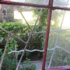 Отель Hostal del Pirata, фото 10