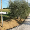 Отель B&B Villa Luogoceleste, фото 7