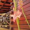 Отель Posta Mágica, фото 11