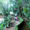 Отель El Portal, Paraíso Natural, фото 6